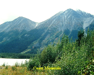 Coast Mountain