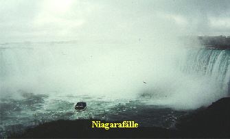 Niagaraflle

